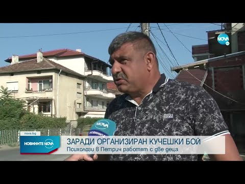 Видео: Полицейска акция след кучешки бой в Петрич - Новините на NOVA (26.07.2022)