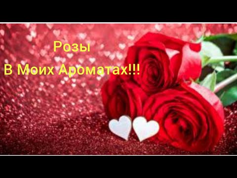 Видео: Такая Разная!!!🌹Роза в Моих ароматах!!!🌹