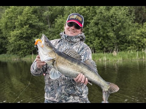 Видео: Ловля на джиг на водохранилище. Техника и тактика ловли