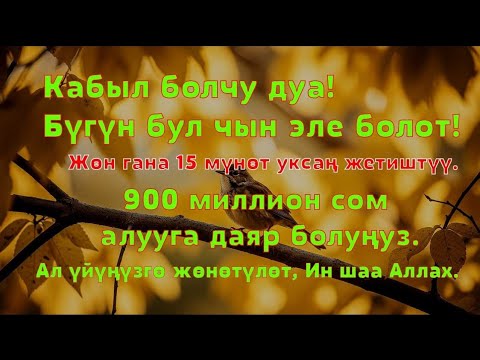 Видео: Керемет дуба! Акча үзгүлтүксүз агып, карыздар жок болуп, бакыттуу өмүр келет!!! - 99