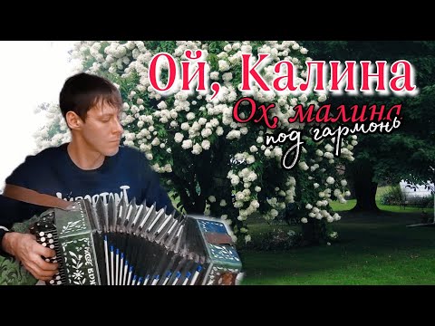 Видео: Очень красивая песня ОЙ КАЛИНА, ОХ МАЛИНА - Алексей Кракин /под гармонь