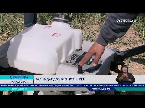 Видео: Ғалымдар дронмен күріш екті