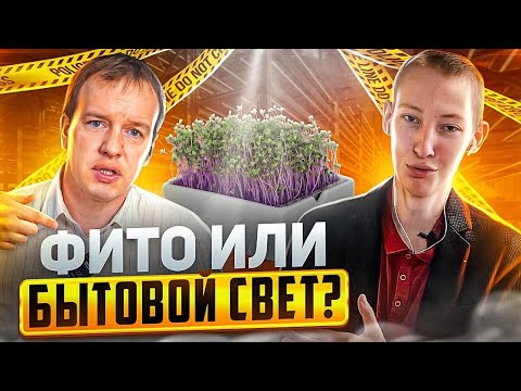 Видео: Фито свет это маркетинг?! Мнение профессионала - производителя по бытовому свету, для микрозелени!