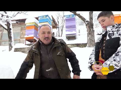 Видео: Пчелините на България: На гости в снежните Родопи – в сдружение „Родопска пчела - Смолян“