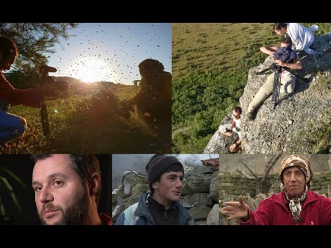 Видео: 360° Од Бекирлија до Холивуд - како се снимаше „Медена земја“