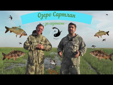 Видео: Рыбалка на оз. Сартлан. Сибирские сазаны в деле.