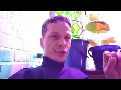 Видео: Соцконтракт, что нужно знать!