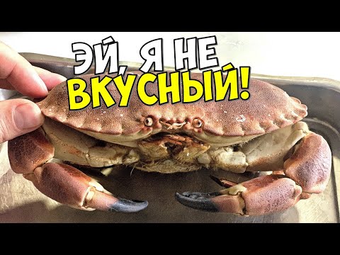 Видео: КАК ПРАВИЛЬНО ЕСТЬ КРАБА. СОВЕТ ОТ ДИЛЕТАНТА