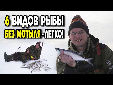 Видео: 6 разных видов рыбы со льда без мотыля! Дядя Фёдор ловит на "гирлянду".