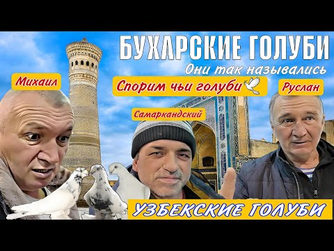 Видео: Спорим..Чьи голуби! Руслан ака , честный голубевод! Двухчубые голуби, чьи они? Узбекские? Мир,дружба