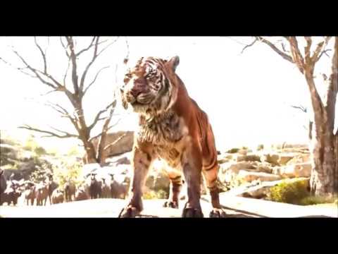 Видео: Шерхан