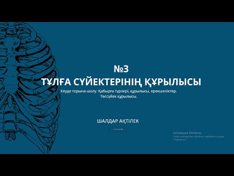 Видео: ОСТЕОЛОГИЯ | №3 САБАҚ | КЕУДЕ ТОРЫ СҮЙЕКТЕРІ