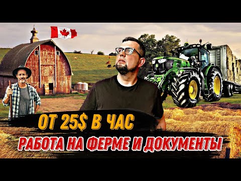 Видео: ПОРАБОТАЙ НА ФЕРМЕ В КАНАДЕ И ПОЛУЧИ ДОКУМЕНТЫ