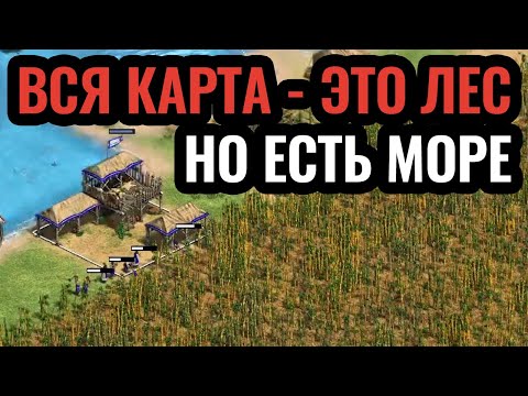 Видео: СВЯТОЙ ЛЕС и гонка за реликвией: эпичный бред на Piligrim Nothing в Age of Empires 2