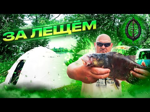 Видео: Рыба клюёт ночью,Рыбалка на донки,с Семьёй на реке ,Часть 1. Сamping ,fishing,bushcraft,nature.