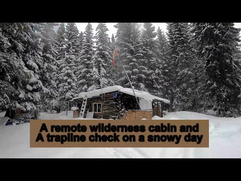 Видео: Удалённая хижина в дикой природе и проверка ловушек в снежный день