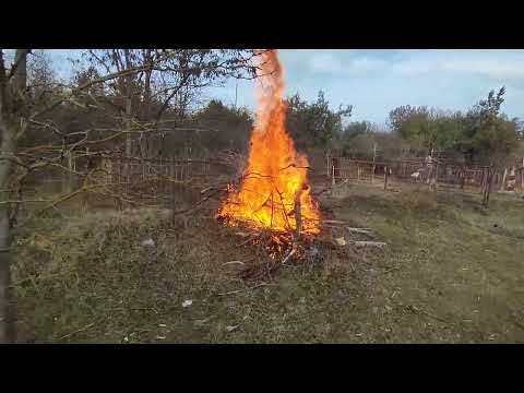 Видео: ПЕРВОМАЙСКОЕ КЛАДБИЩЕ СУББОТНИК 12.02.2024