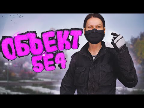 Видео: Я ВАЖНЫЙ ОБЪЕКТ | DayZ Stalker RP