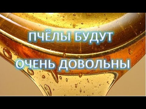 Видео: Какими порциями лучше всего давать пчёлам сироп. Время на переработку сиропа.