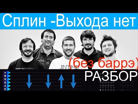 Видео: Сплин - Выхода нет на гитаре. Разбор БЕЗ БАРРЭ