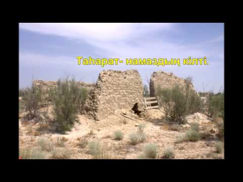 Видео: марал ишан 2014ж