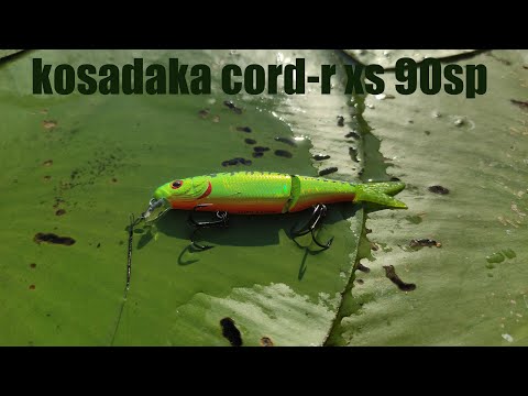 Видео: Рибалка №3. Багато щуки на Kosadaka cord-r xs 90sp. 28.08.2024