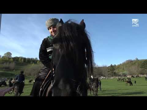 Видео: Конный переход в Красном Кургане 17 04 24