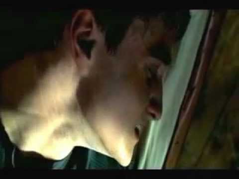 Видео: Тень на стене