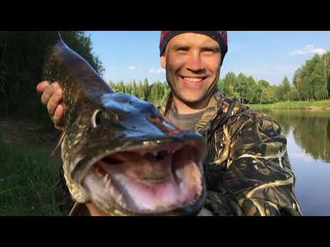 Видео: ХМАО г. Радужный  " Охотники за трофейной щукой" р. КоликЁган    "Крокодилы северных рек"