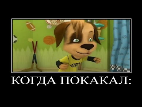 Видео: Муд Барбоскины демотиватор 7