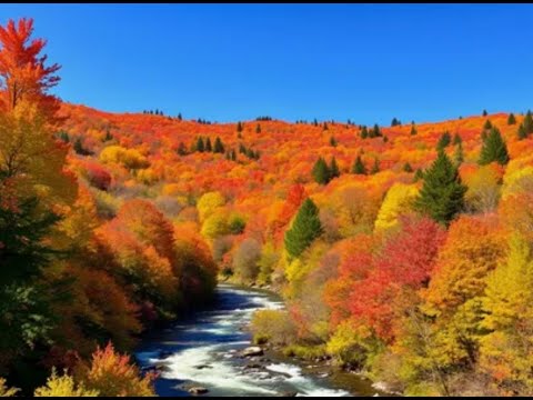 Видео: О&К:о курении, о рае, о долгах пиратам, почему Библия, о плохих учениках. Бог есть любовь.28.10.2025