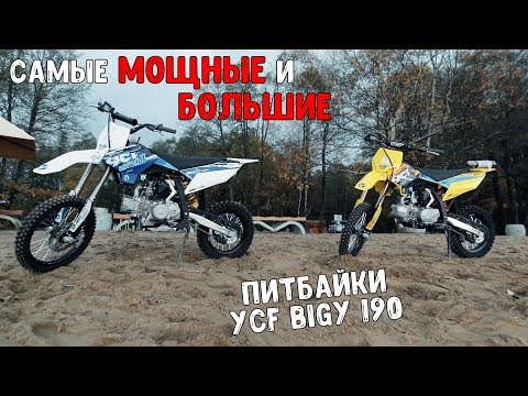 Видео: Самые МОЩНЫЕ и БОЛЬШИЕ питбайки YCF BIGY 190 Daytona vs 190 Zongshen