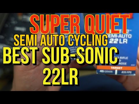 Видео: ЛУЧШИЕ ДОЗВУКОВЫЕ ПАТРУЛЬНЫЕ ПУЛИ ДЛЯ 22LR