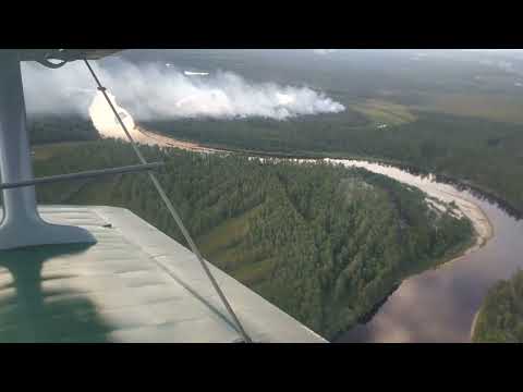 Видео: Лесоавиапатруль АН-2
