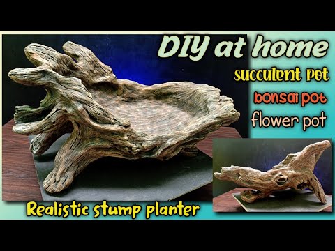 Видео: Как сделать реалистичный пень |  Как сделать цементные горшки для растений в домашних условиях