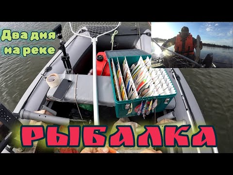 Видео: Рыбалка в бесклёвье? Не проблема! Как поймать трофейную рыбу!