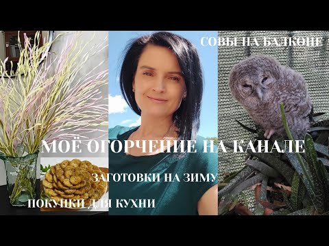 Видео: VLOG I Моё огорчение l Совы на балконе l Заготовки на зиму l Покупки для кухни