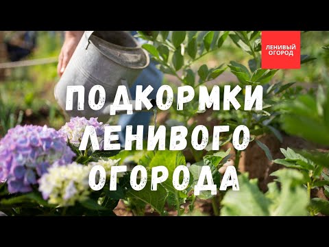 Видео: Самое лучшее удобрение - травяной настой для подкормки | Зеленое удобрение | Органические удобрения