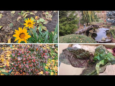 Видео: Посилка від пані Ніли!Перший день на дачі,що зробили!