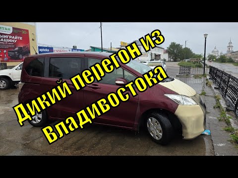 Видео: Перегон Honda Freed из Владивостока в Москву / Внезапный поворот событий / Участок Владик - Бурятия