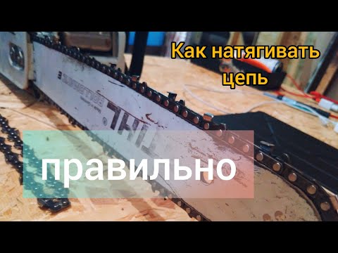 Видео: как натянуть цепь на бензопиле|stihl мс180|правильная натяжка цепи☝️