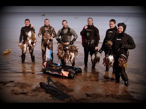 Видео: Чемпионат и Кубок Эстонии 2016 * Подводная охота * Балтийское море