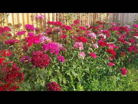 Видео: ЛИРА-САПР. Расчет фундамента под оборудование с вращающимися частями