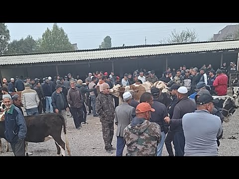 Видео: МОЛБОЗОРИ  МАСТЧОХ 1111 БОЗОРИ 2 ЮМ УЧАСКА ХАТМАН ЛАЙКОРА ЗАНЕД ОБУНАШЕД ДУСТОН
