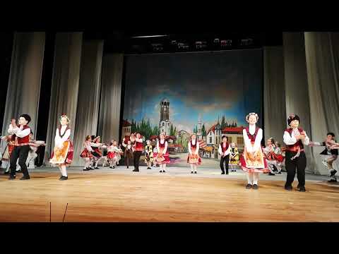 Видео: ДТА "ЛУДОГОРЧЕ"