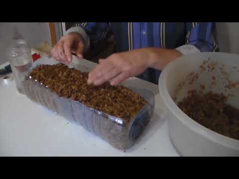 Видео: Стратификация виноградных прививок