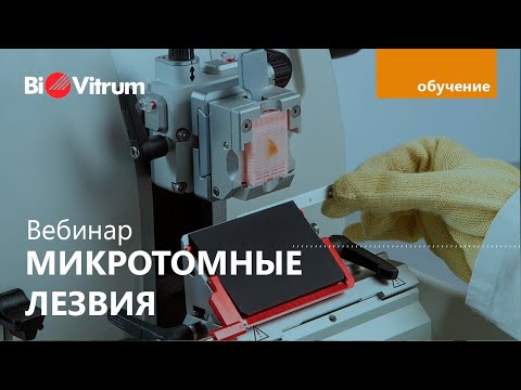 Видео: Вебинар “Микротомные лезвия”