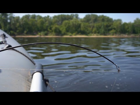 Видео: Наконец то крупный лещ пошёл. Эти лопаты разгибают крючки. Рыбалка 2023. Ловля леща на кольцо