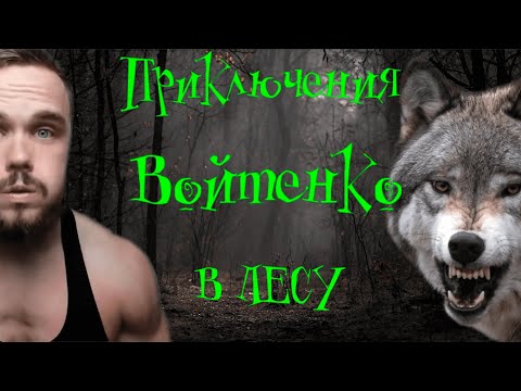 Видео: Приключения Войтенко в лесу (эпизод 1) |RYTP