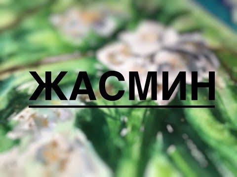 Видео: жасмин акварелью